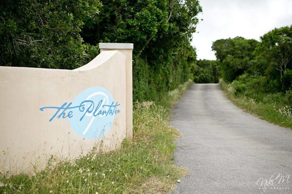 Bed and Breakfast The Plantation Port Elizabeth Zewnętrze zdjęcie