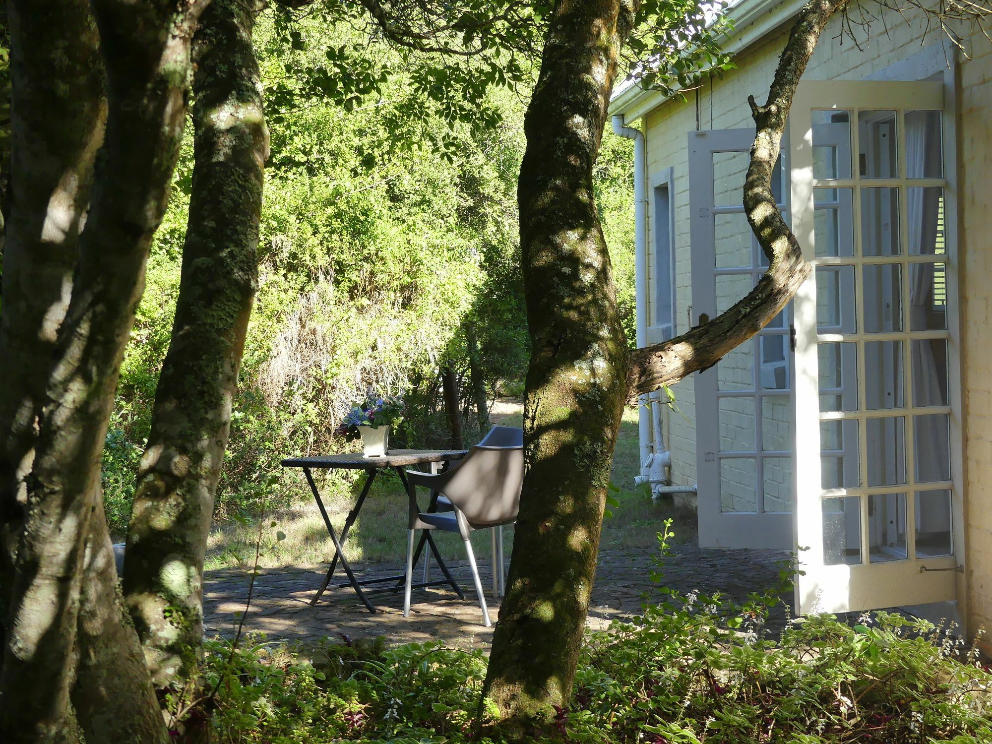 Bed and Breakfast The Plantation Port Elizabeth Zewnętrze zdjęcie